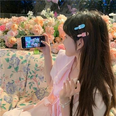 欢迎来到丛林