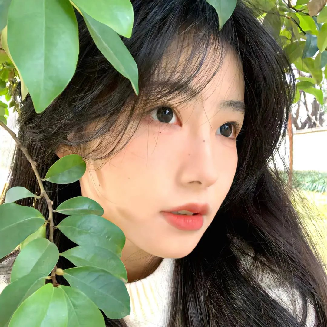 今日份的散步