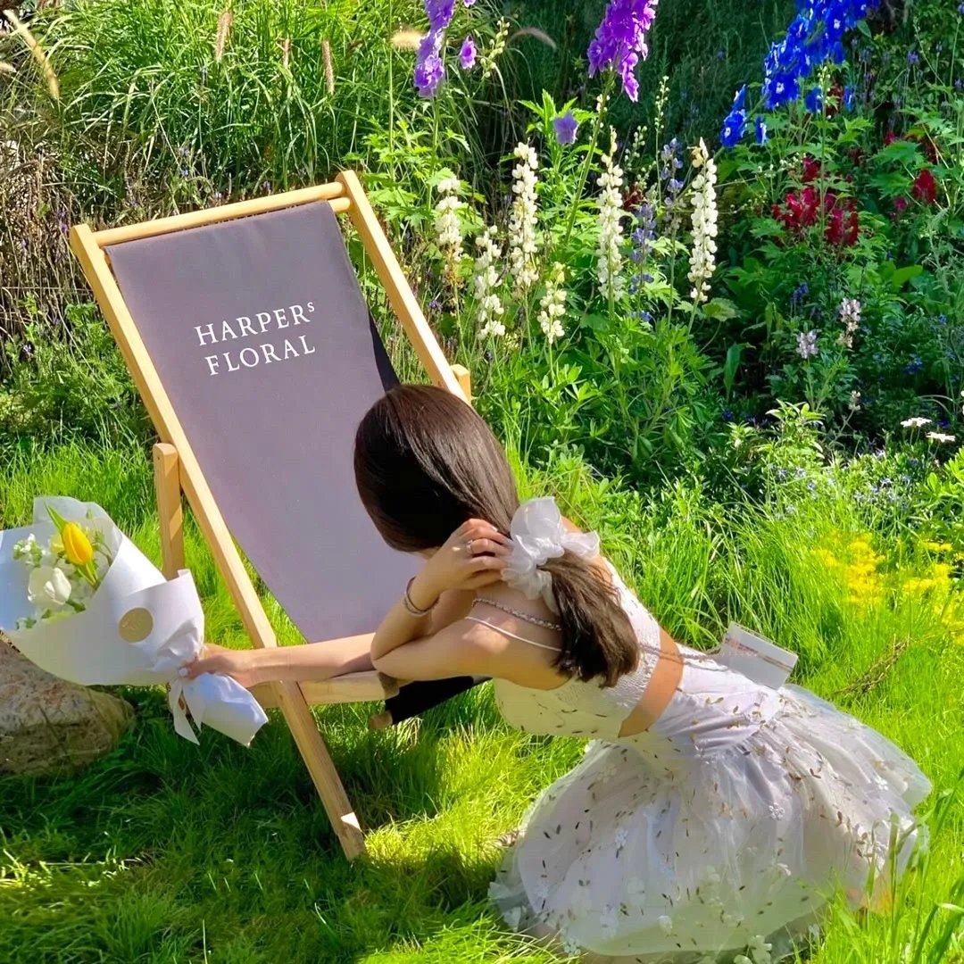 花花草草寻亲记