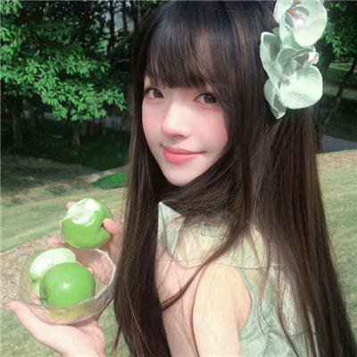 小熊的夏天